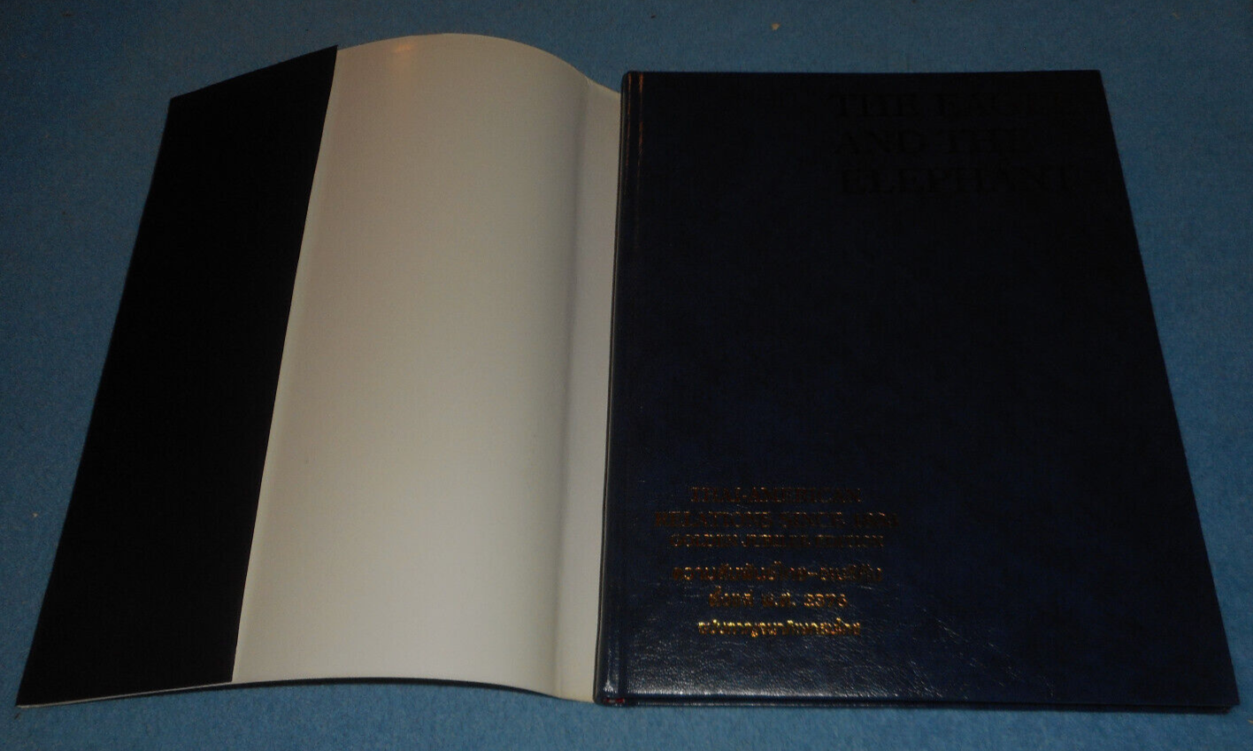 Picture 4 of 13