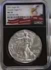 2021 US Silver Eagle $1 NGC MS70  Black Core Slab Type 1