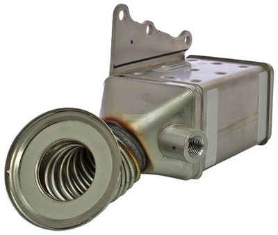 AGR Kühler Abgasrückführung 55268286 Neu Original VALEO für Fiat