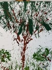 Bild 6 von 8