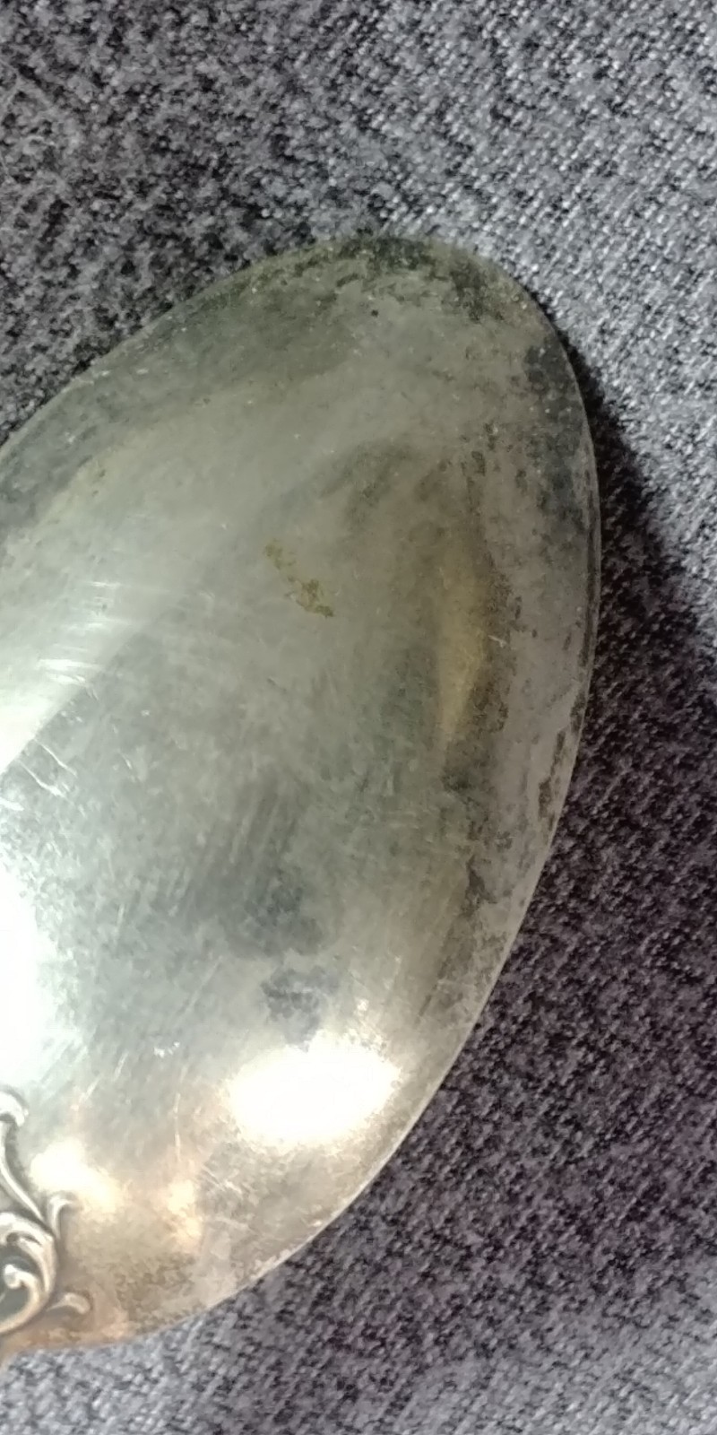 Picture 23 of 23