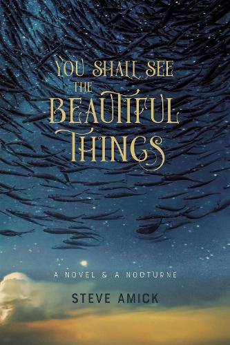 Steve Amick’s You Shall See the Beautiful Things – Novel and Nocturn Paperback Edition