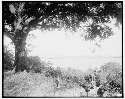 Photo:St. John's River and bridge, Jacksonville, Fla.