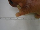 Picture 6 of 8