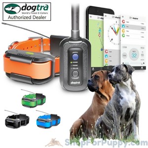 pathfinder dog tracker