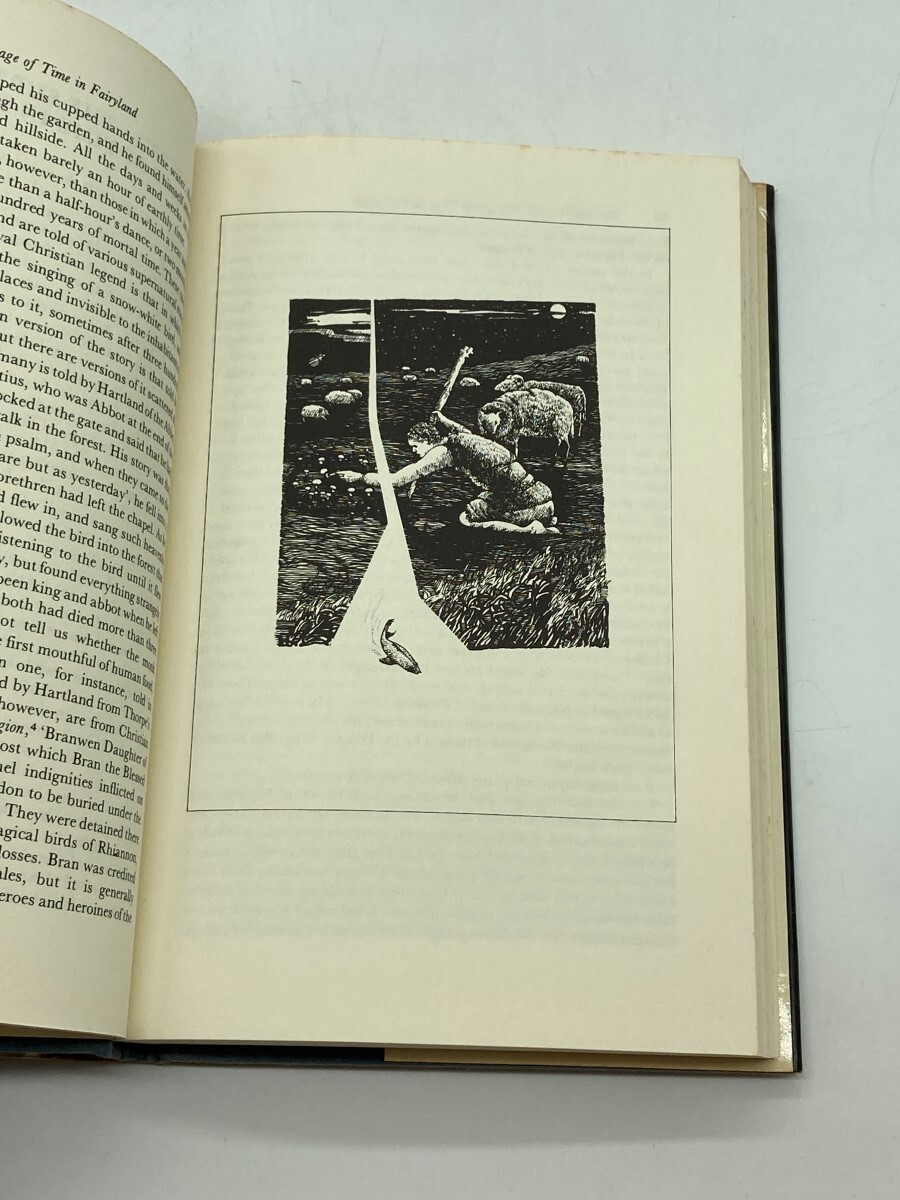 The Vanishing People Fairy Lore and Legends | eBay