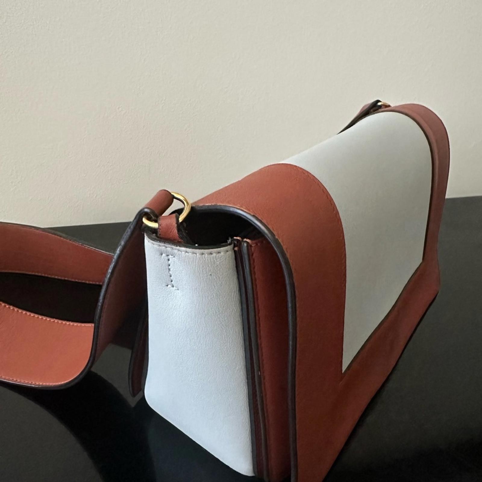 Celine Medium Frame shoulder bag - image 1