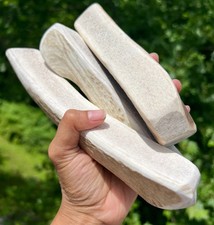 Split Elk Antler Dog Chew XL 8 inches  5-6oz   Large Dogs  USA Shed