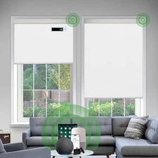 DONGFXK Motorized Window Blinds
