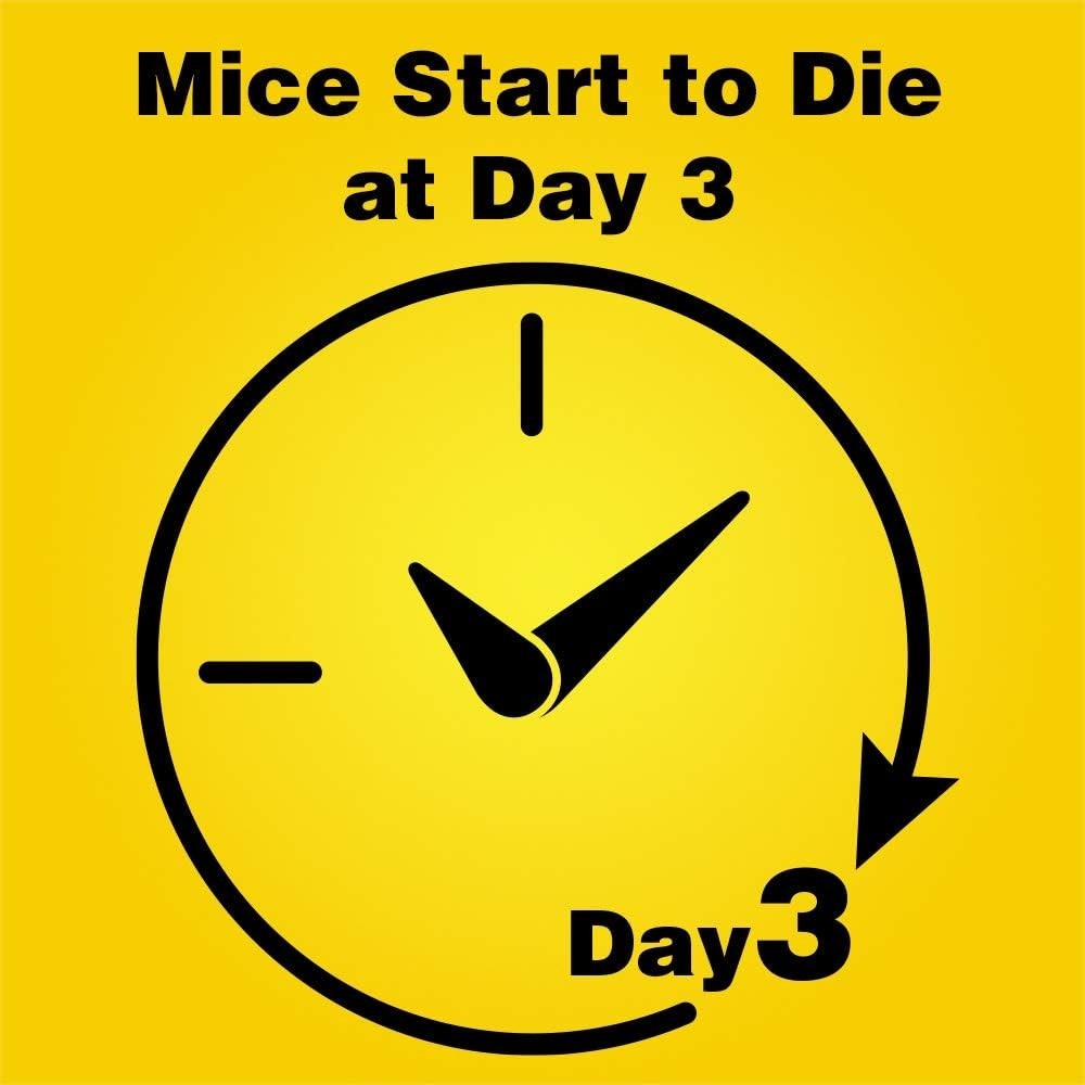 Refillable Corner Fit Mouse Poison Bait Station Refills, 10 count FREESHIPPING**