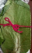 20PCS Natural MULBERRY Dried Leaves Shrimp Snail Food Tannins Aquarium Fish Tank