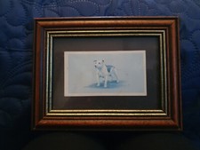Vintage John Player Cigarette card Staffordshire Bull terrier Framed and Mounted