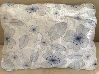 A Pair Of Shams 1101 Blue A Pair Of Shams 1101 Blue