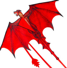 Dragon Kites for Kids and Adults, Easy to Fly Large Single Line Kite for Kids -