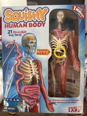 SmartLab Squishy Human Body Model Kit   29 Pieces STEM Anatomy Toy w/ Book 