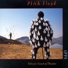 Delicate Sound Of Thunder  by Pink Floyd | CD | condition very good