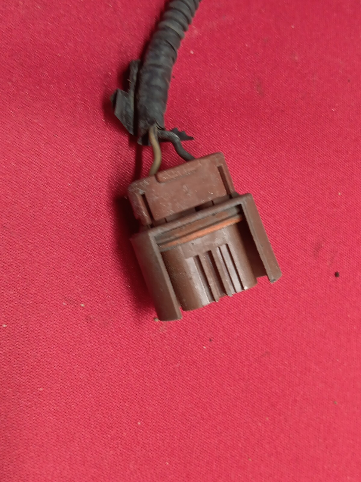 Picture 4