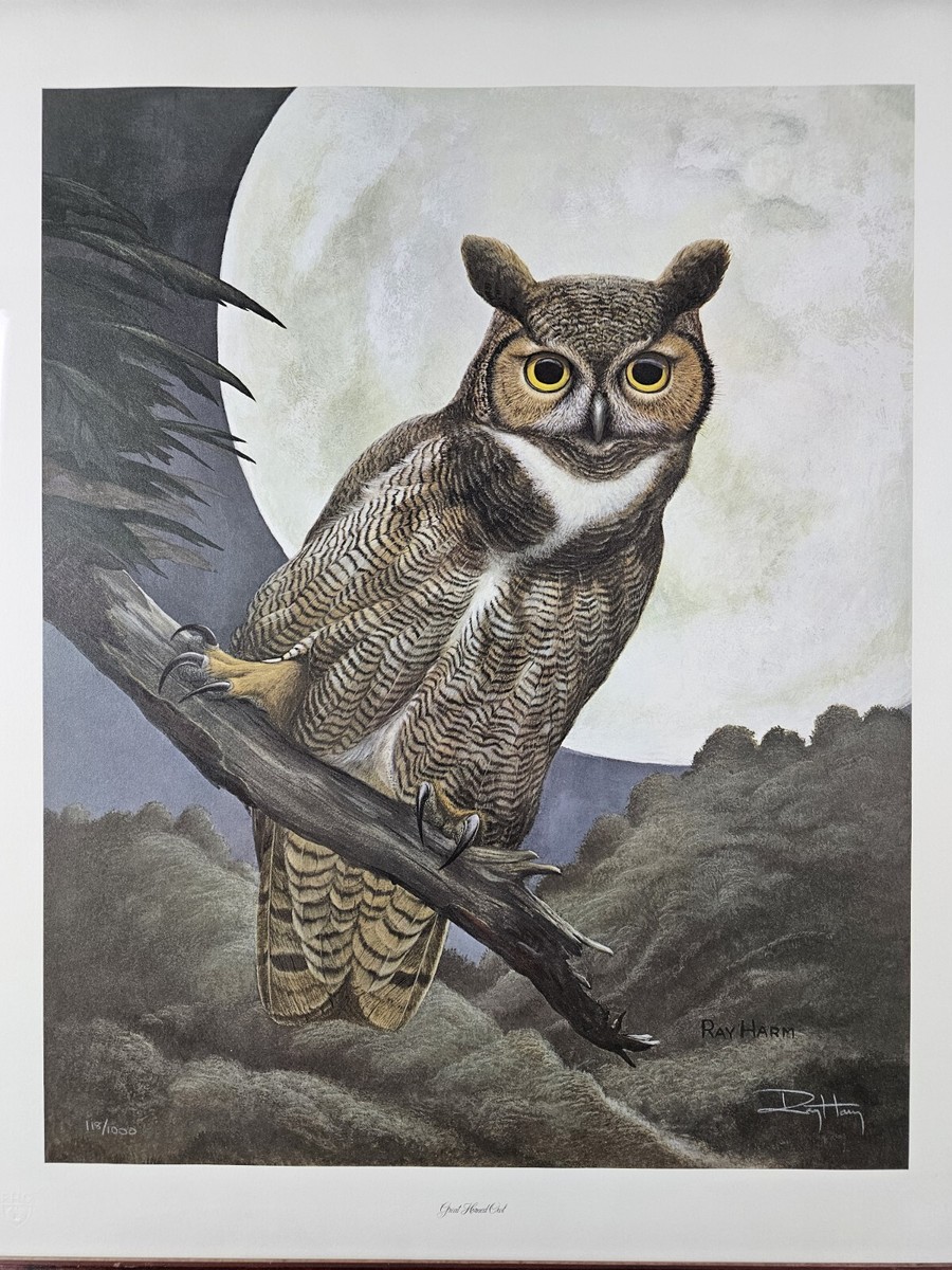 Vintage Horned Owl Illustration Cute Funny Owl Canvas Wall Art