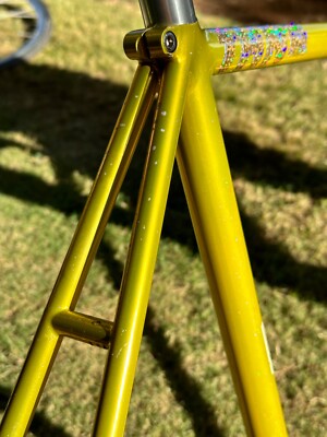 NJS APPROVED Stamped Fixed Gear PELOTON Track Bike Steel Frame Set