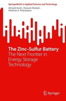 The Zinc-Sulfur Battery The Next Frontier in Energy Storage Technology Buch ix