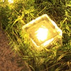 Bild 7 von 9