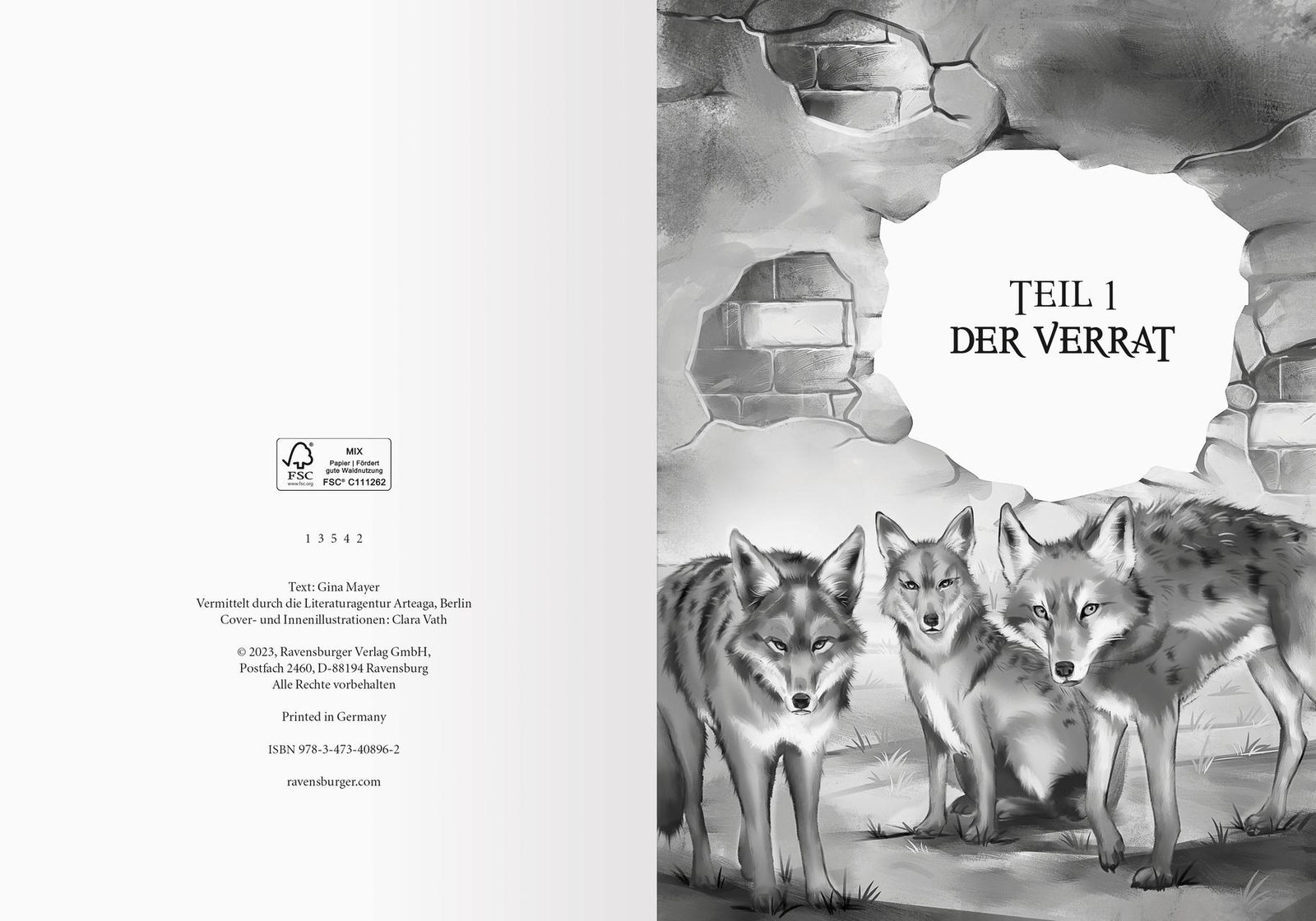 Thumbnail - Stadt Der Bösen Tiere, Band 1: Die Burg (tier-fantasy Ab 10 Jahre Von