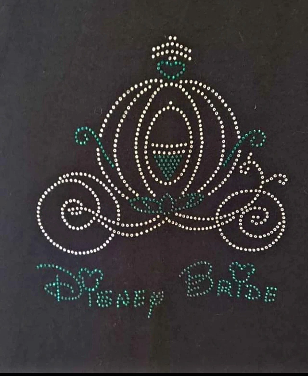Felpa con cappuccio Disney Bride Strass Cenerentola Coach donna zip up.