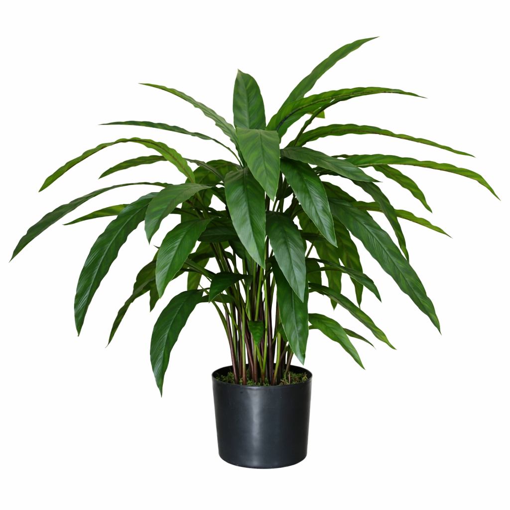 Artificial Calathea Evergreen Plant 60cm Green Realistic Faux Indoor Home Office