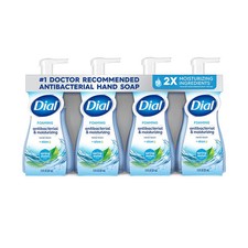 Dial Foaming Antibacterial Hand Soap Spring W...