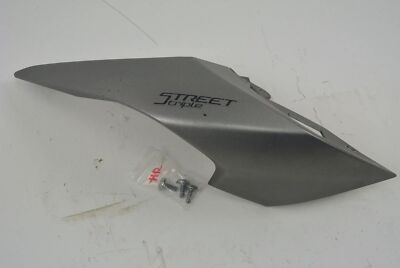 Triumph Street Triple 765 RS R S 17 - 19 Verkleidung Heck Matt Silver Ice
