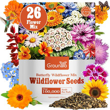 All Perennial Wildflower Seeds Bulk, 1/4 Lb, 100,000 Seeds, 26 Variety Mix
