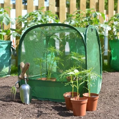 GARDENSKILL 0.5m Garden Grow Outdoor Mini Net Cloche Fruit & Veg Plant Protector Greenhouse