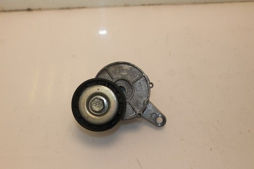 SPANNROLLE MULTIRIEM Volkswagen Tiguan (AD1) 2016 04L903315B