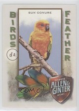 2021 Topps Allen & Ginter's Birds of a Feather Sun Conure #BOF-2 06p8