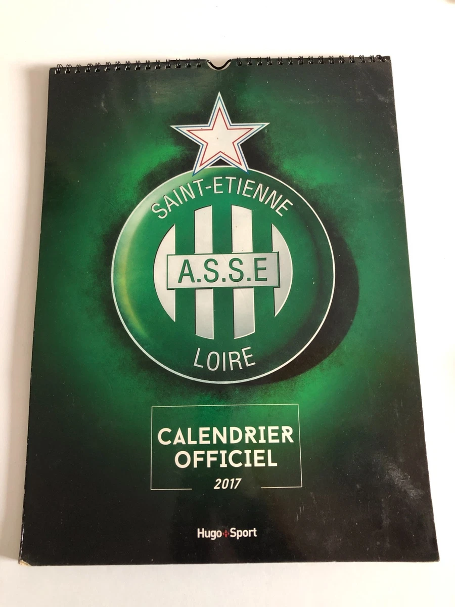 ASSE SAINT-ETIENNE PALMARES fanion wimpel pennant football ancien rare 80's