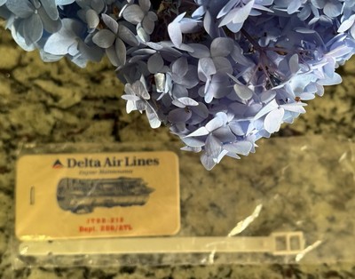 Delta Airlines Vintage 60 s 70 s Off White Plastic Luggage Tag UNUSED!  ️