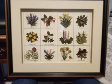 Shadow Box Framed Quilling Picture Of 12 Flowers By Hand Stephanie Bloomfield