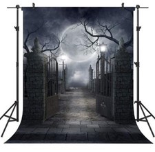 Halloween 6x9FT Pictorial Photography Backdrop Studio Prop Seamless Cloth
