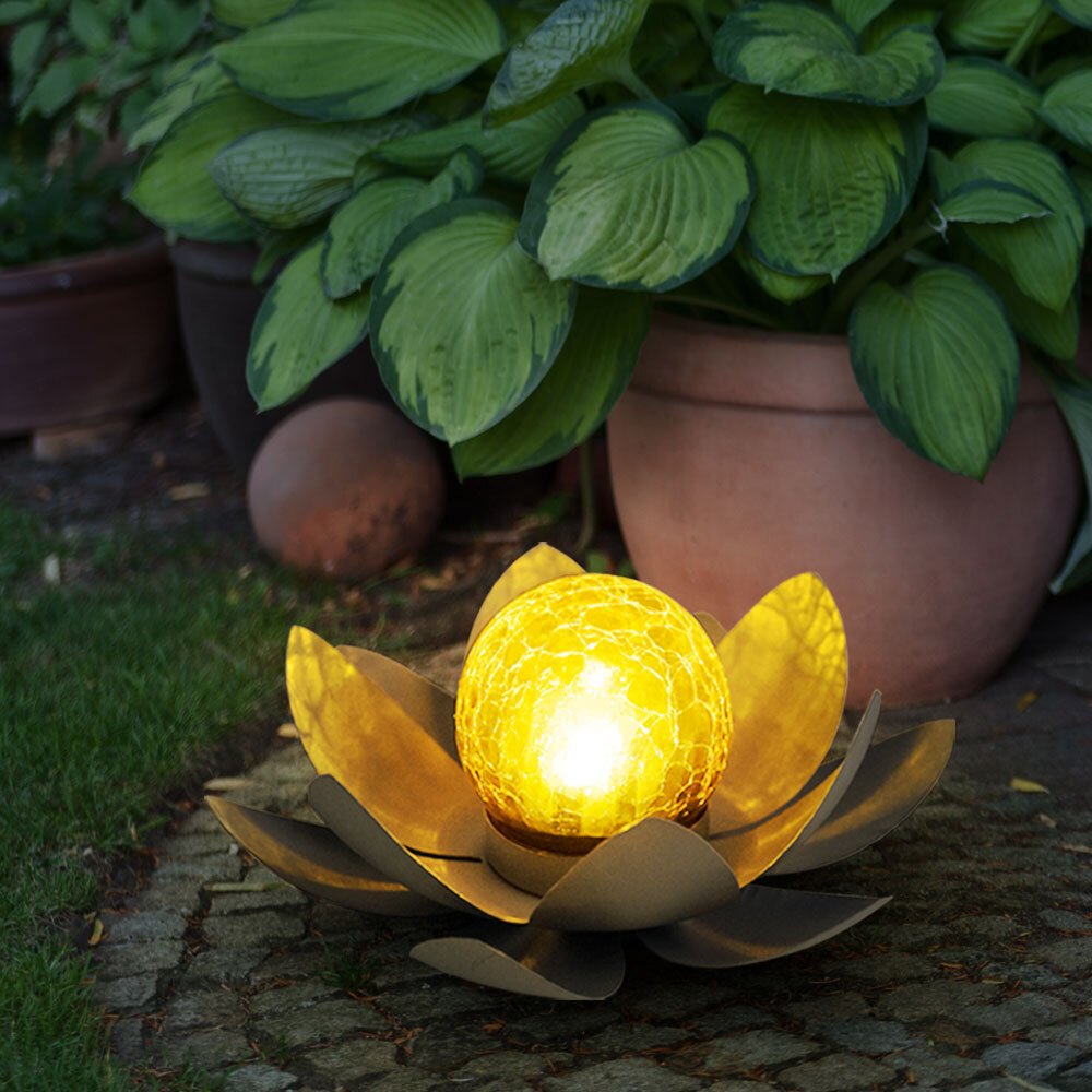 Piscina Fiori | Confronta Prezzi - Foto 5