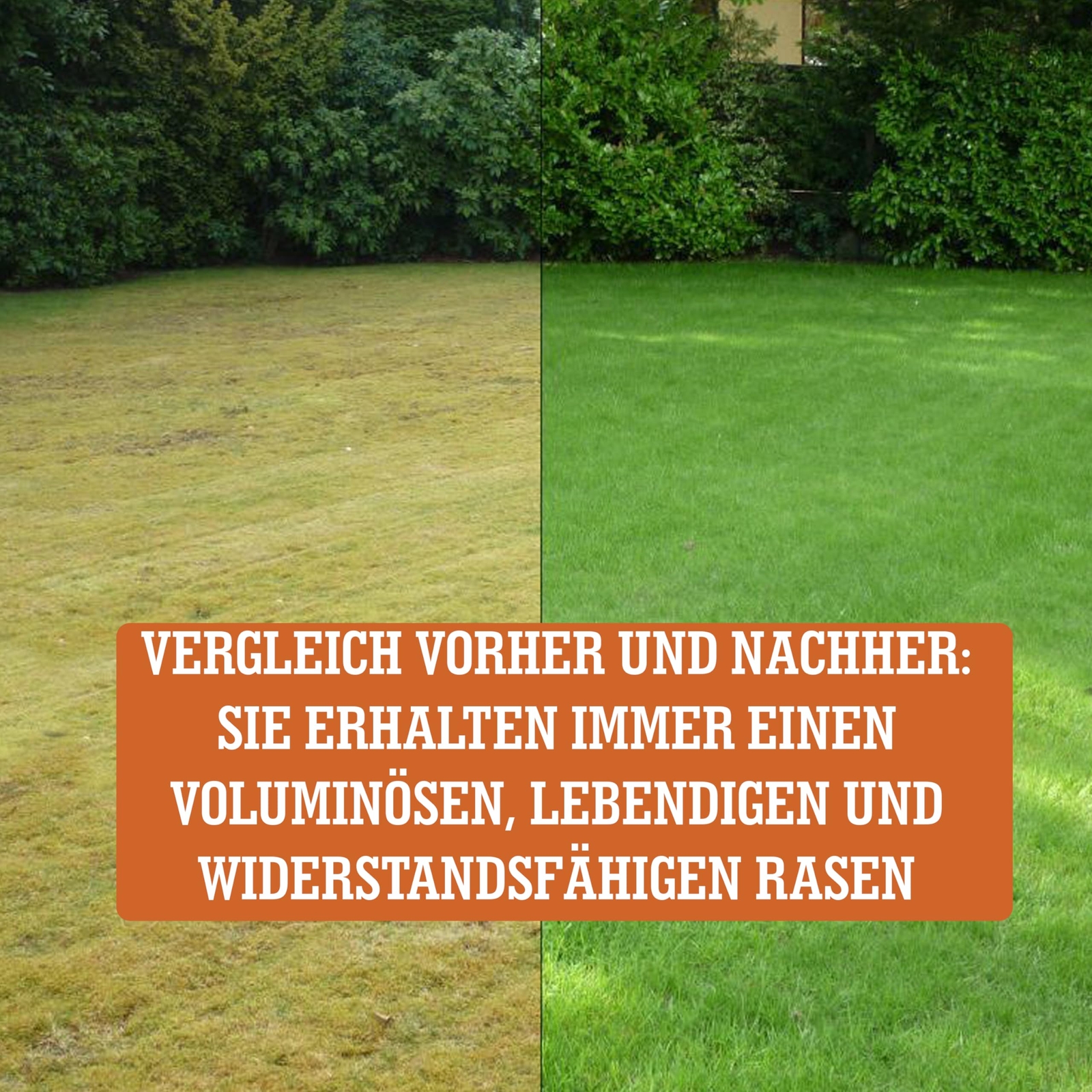 Bild 5 von 8