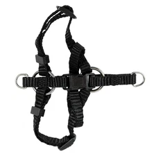 Pet Champion Basic Step-in Cat Harness