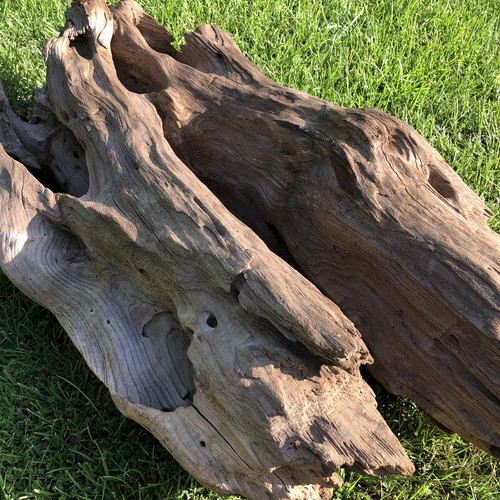 Xtra Large Driftwood Beautiful Aquarium Decor 38x18x10 Real Wood Holes Terrarium - Picture 12 of 23