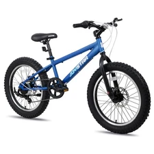 Blue 20 Inch Kids Mountain Bike, 7-Speed Shimano, Dual Disc Brake, Fat Tire B...
