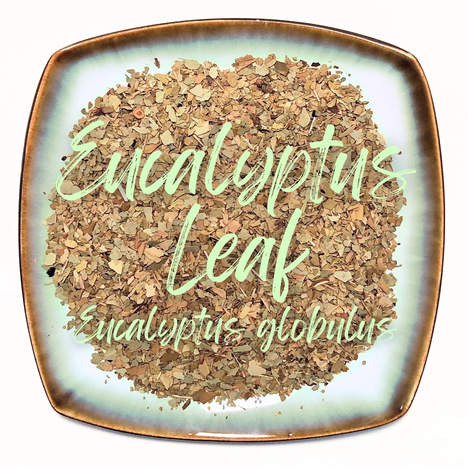 Eucalyptus Leaf C/S ~ Bulk Organic Dried Herb - Eucalyptus globulus ~ 0.5 - 4 oz - Image 2 of 4