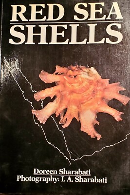 Red Sea Shells Doreen Sharabati Saudi Arabia, Egypt Sudan Eritrea Djibouti Yemen