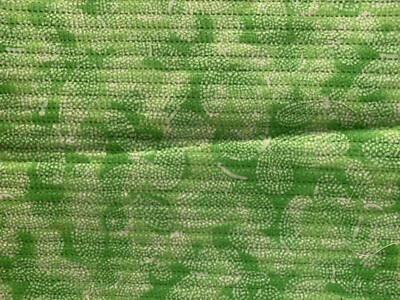 Green Flower Seer Sucker Scrap 16''x 21 , Cotton Fabric, Fat quarter