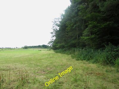 Photo 6x4 Grass field beside Long Bank Plantation Warenford A grass field c2014