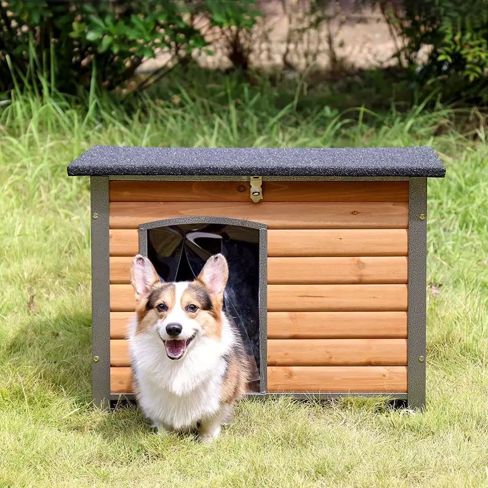 Heated dog houses 2025 for winter