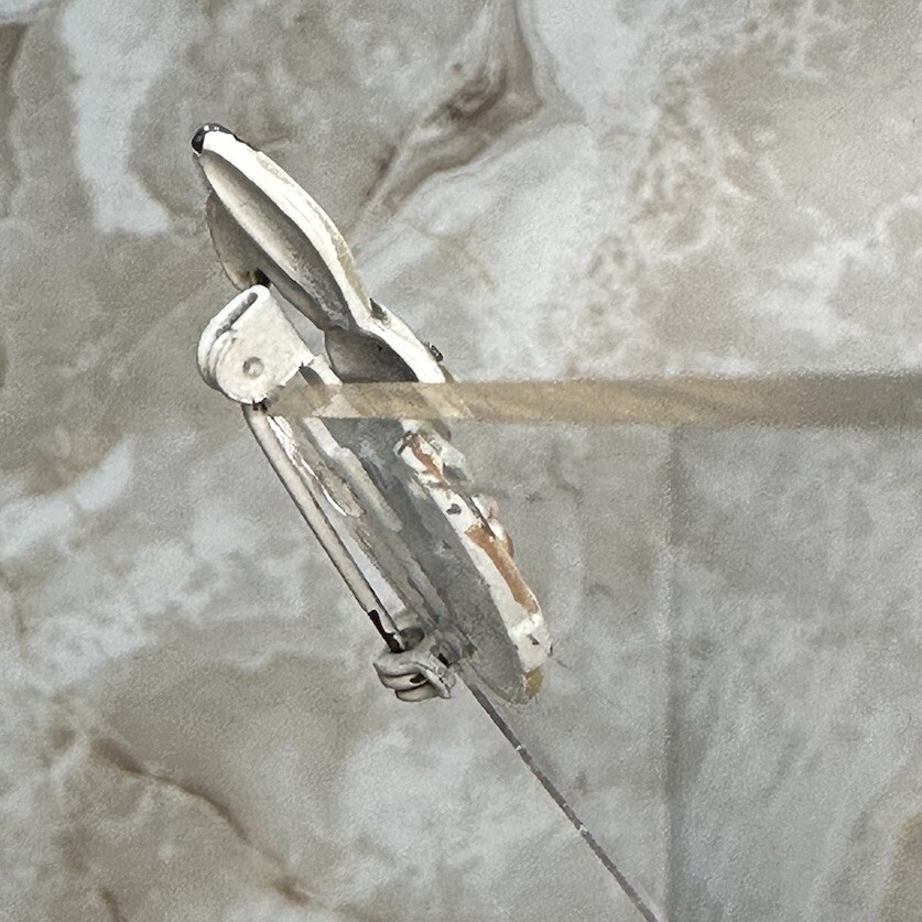Picture 10 of 11