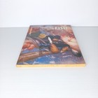 Foto 6 di 11